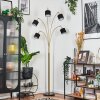 Bassagoda Lampadaire Laiton, Noir, 5 lumières