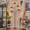 Alsen Lampadaire Chrome, Noir, 5 lumières