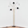 Bassagoda Lampadaire Laiton, Noir, 5 lumières