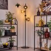 Koyoto Lampadaire Ambre, Clair, Fumé, 4 lumières