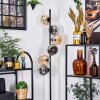 Koyoto Lampadaire Ambre, Fumé, 6 lumières