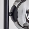 Ripoll Lampadaire Fumé, 6 lumières