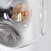 Ripoll Lampadaire Clair, Fumé, 6 lumières