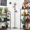 Gastor Lampadaire 34 cm Ambre, Clair, Fumé, 4 lumières