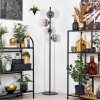 Ripoll Lampadaire Chrome, Clair, Fumé, 4 lumières