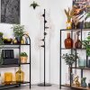 Koyoto Lampadaire 31 cm Clair, 6 lumières