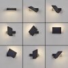 Xaden Lampe murale d´extérieur, Applique murale LED Noir, 1 lumière