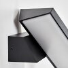 Xaden Lampe murale d´extérieur, Applique murale LED Noir, 1 lumière