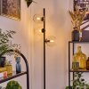 Koyoto Lampadaire 31 cm Clair, 3 lumières