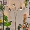 Bassagoda Lampadaire Laiton, Noir, 3 lumières