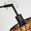 Cando Lampadaire Noir, 3 lumières
