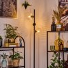 Koyoto Lampadaire 31 cm Clair, 3 lumières