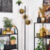 Koyoto Lampadaire 31 cm Or, 3 lumières