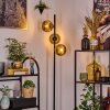 Koyoto Lampadaire 31 cm Or, 3 lumières