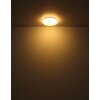Imelda Plafonnier Luminaires Globo Lighting LED Blanc, 1 lumière