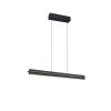 Emerson Suspension Luminaires Trio LED Noir, 1 lumière