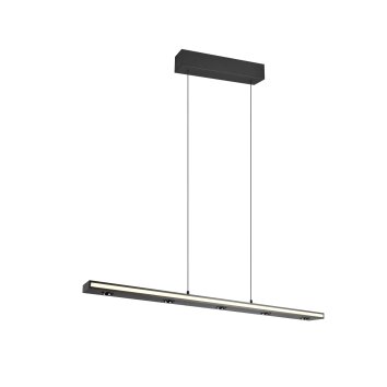 Graham Suspension Luminaires Trio LED Noir, 8 lumières
