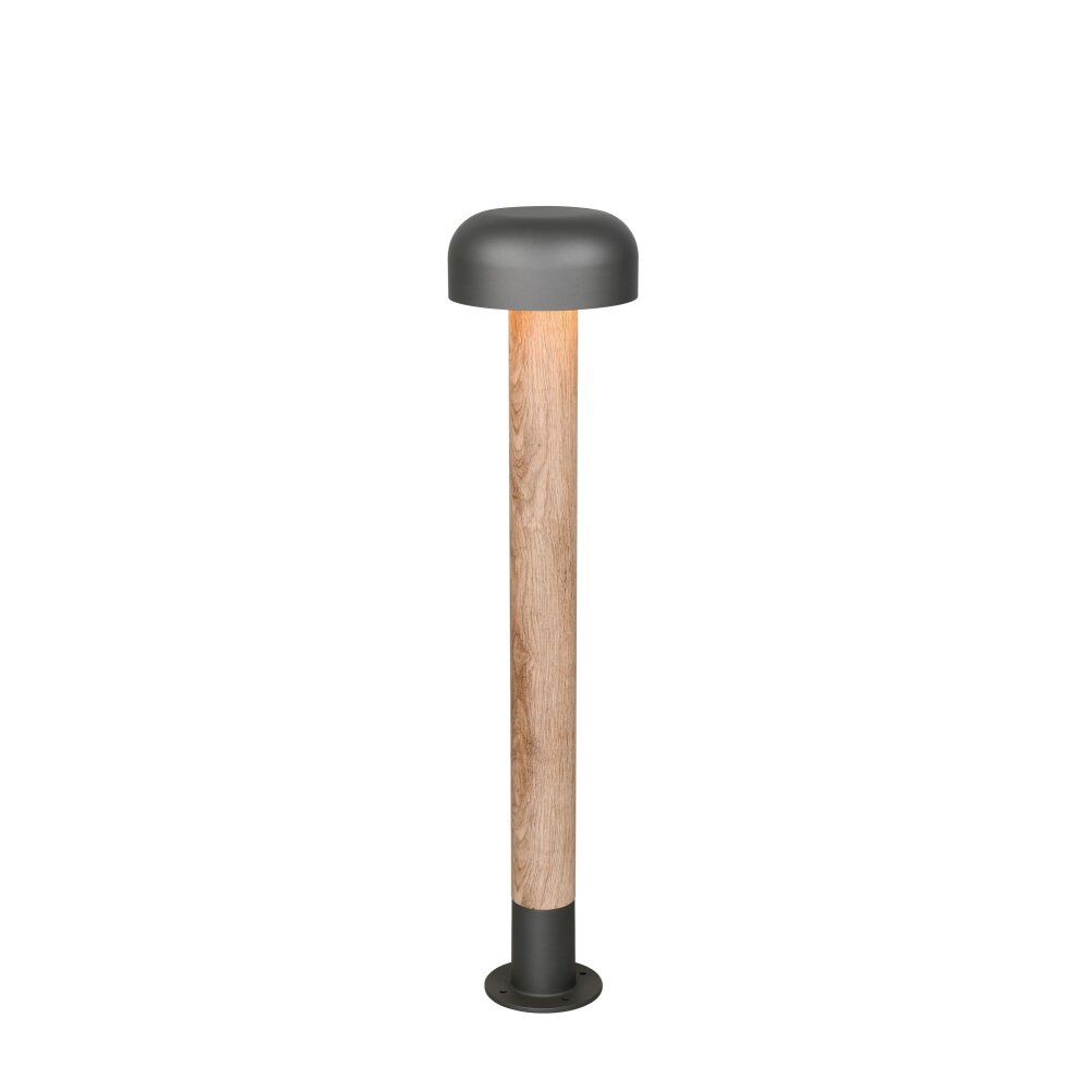 FRASER Lampadaire d\'extérieur Luminaires Trio Bois clair, 1 lumière main product photo