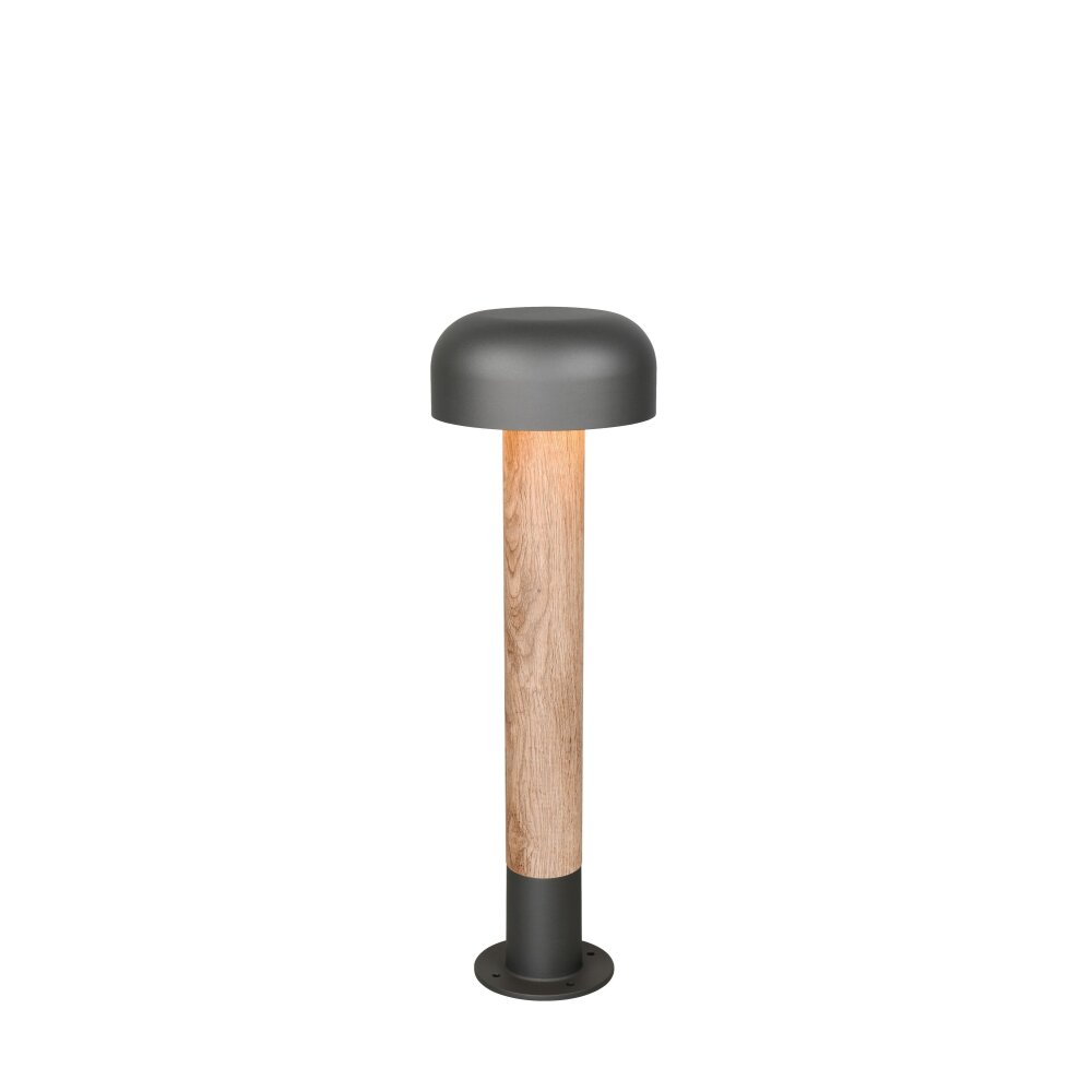 FRASER Lampadaire d\'extérieur Luminaires Trio Bois clair, 1 lumière main product photo