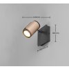 und Spot de plafond, Applique murale / Plafonnier, Spot mural Luminaires Trio Brun, 1 lumière