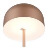 Jeff Lampadaire Luminaires Reality LED Brun, 1 lumière