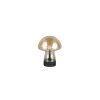 Dooley Lampe à poser Luminaires Reality LED Brun, Or, 1 lumière