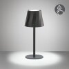 Diaz Lampe à poser Luminaires Reality LED Noir, 1 lumière