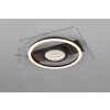 Wheeler Plafonnier Luminaires Reality LED Noir, 1 lumière