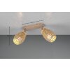 Bidar Spot de plafond Luminaires Reality Brun, 2 lumières