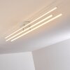 Plafonnier Tornio LED Nickel mat, Blanc, 3 lumières