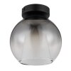Barry Plafonnier Luminaires Globo Lighting Noir, 1 lumière