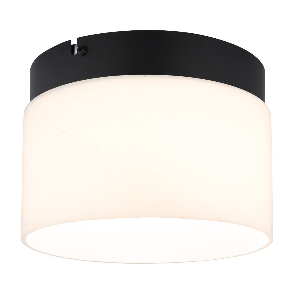 Trenton Plafonnier Luminaires Globo Lighting LED Noir, 1 lumière main product photo
