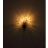Fiore Applique murale Luminaires Globo Lighting Noir, 2 lumières