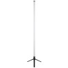 Rocky Lampadaire Luminaires Globo Lighting LED Noir, 1 lumière, Télécommandes, Changeur de couleurs