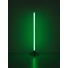 Rocky Lampadaire Luminaires Globo Lighting LED Noir, 1 lumière, Télécommandes, Changeur de couleurs