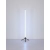 Rocky Lampadaire Luminaires Globo Lighting LED Noir, 1 lumière, Télécommandes, Changeur de couleurs