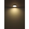 Nielsen Plafonnier Luminaires Globo Lighting LED Noir, 1 lumière