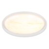Tyrone Plafonnier Luminaires Globo Lighting LED Blanc, 1 lumière