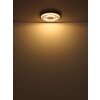 Jayden Plafonnier Luminaires Globo Lighting LED Noir, 1 lumière