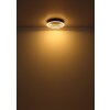 Hedi Plafonnier Luminaires Globo Lighting LED Or, Noir, 1 lumière