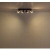 Kayden Plafonnier Luminaires Globo Lighting Brun foncé, Noir, 4 lumières