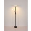Stanford Plafonnier Luminaires Globo Lighting LED Noir, 1 lumière