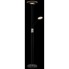 Tamika Plafonnier Luminaires Globo Lighting LED Chrome, Noir, 1 lumière