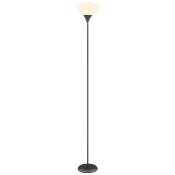 Wilbur Lampadaire Luminaires Globo Lighting Titane, 1 lumière