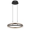 Della Suspension Luminaires Globo Lighting LED Noir, 1 lumière