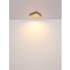 Hayden Plafonnier Luminaires Globo Lighting LED Écru, Noir, 1 lumière, Télécommandes