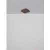 Hayden Plafonnier Luminaires Globo Lighting LED Écru, Noir, 1 lumière, Télécommandes