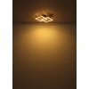 Jeffry Plafonnier Luminaires Globo Lighting LED Écru, Noir, 1 lumière