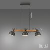 2.0 Suspension Luminaires Leuchten Direkt LED Brun, Noir, 3 lumières