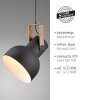 2.0 Suspension Luminaires Leuchten Direkt LED Brun, Noir, 1 lumière